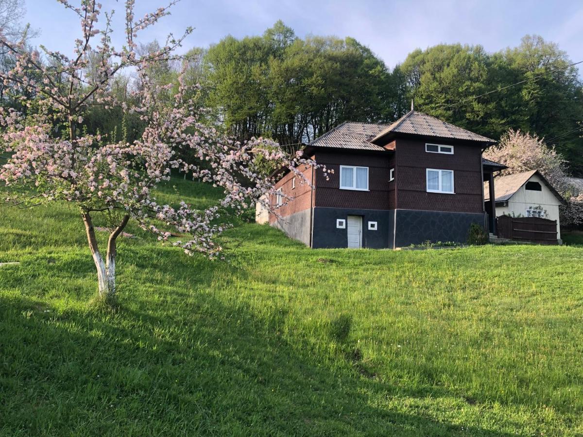 Cabana Hatere Moisei Exterior foto